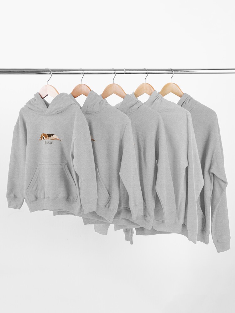 Alternate view of Beagles Kids Pullover Hoodie