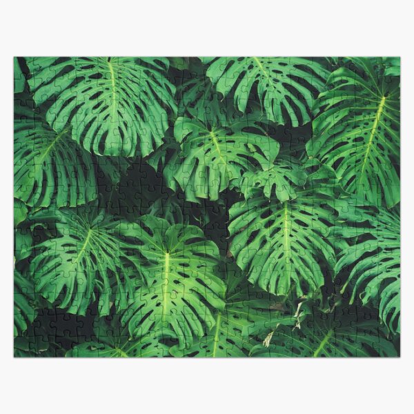Artikel-Vorschau von Monstera-Blatt-Dschungel-Muster - Philodendron-Pflanzenblätter-Hintergrund, designt und verkauft von ohaniki.