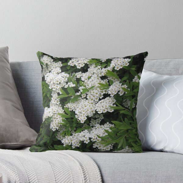 Item preview, Pretty White Spirea Blossoms designed and sold by Kathryn Jones.