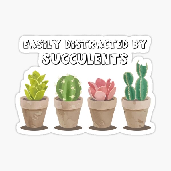Item preview, Easily distracted by succulents designed and sold by Pixilixzy.