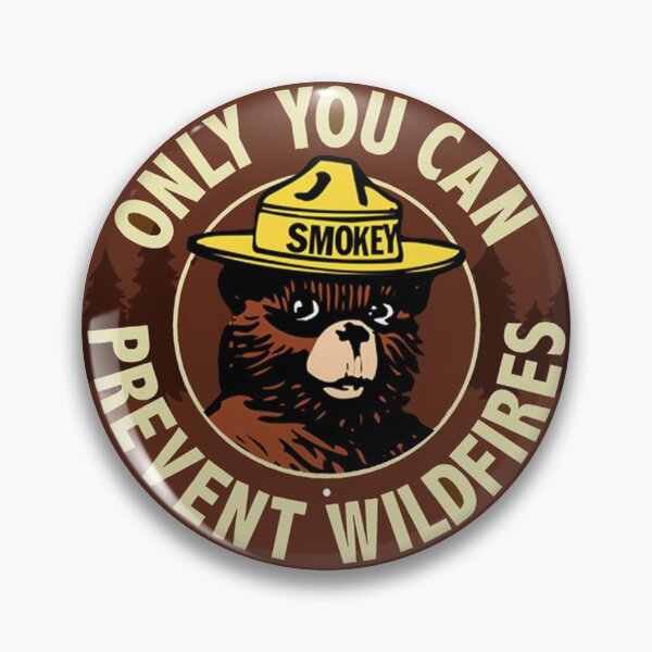 Other Firefighting & Rescue Details about Smokey The bear firefighting