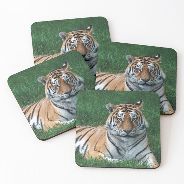 Item preview, A Tiger Laying Down designed and sold by DaveBond.