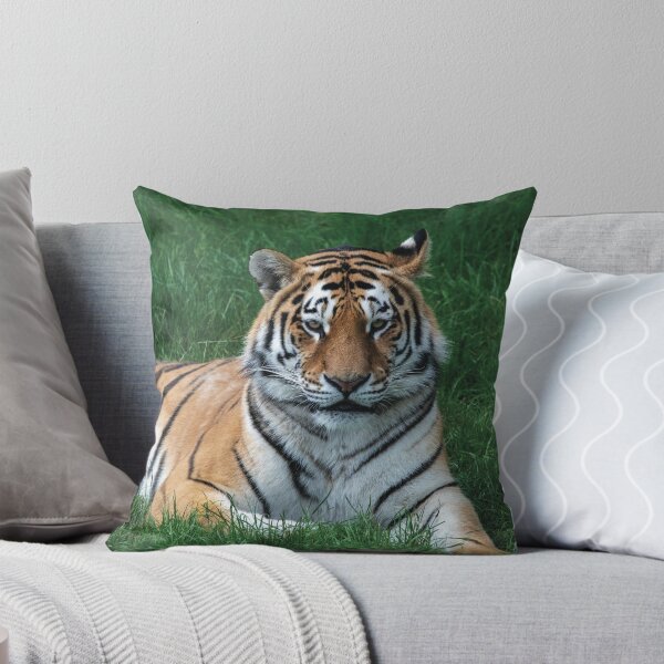 Item preview, A Tiger Laying Down designed and sold by DaveBond.