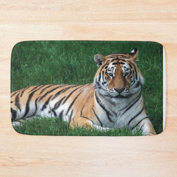 Item preview, A Tiger Laying Down designed and sold by DaveBond.