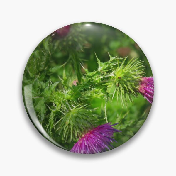 Item preview, Wild Thistle designed and sold by Ann Biddlecombe.