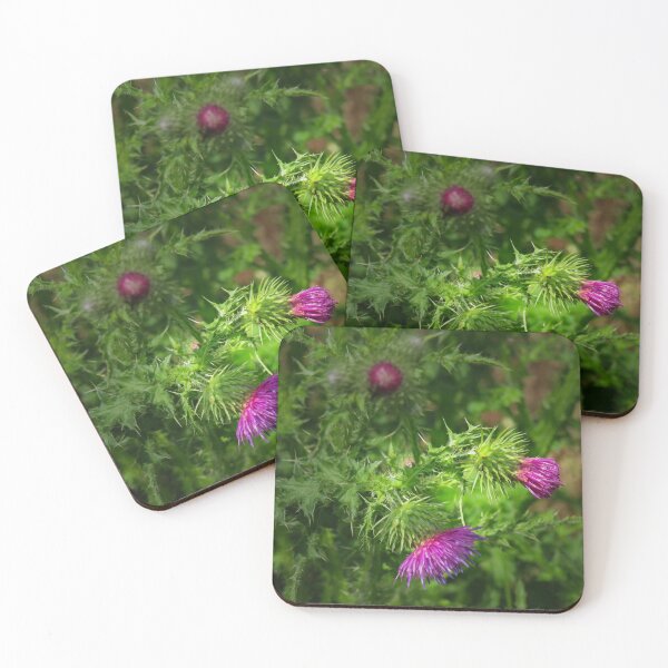 Item preview, Wild Thistle designed and sold by Ann Biddlecombe.