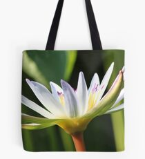 Waterlily Tote Bag