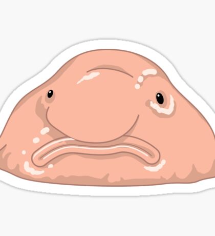 Blob Fish: Stickers | Redbubble