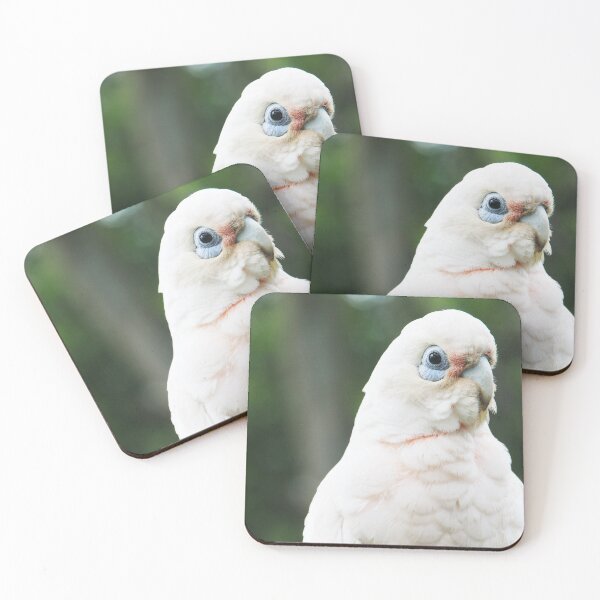 Item preview, Cheeky Little Corella  designed and sold by Lauren Elizabeth Photograhy AU.
