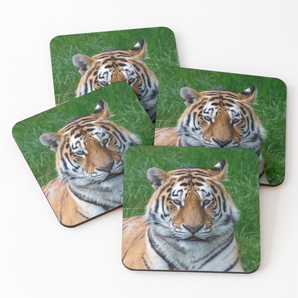 Item preview, A Tiger Face Looking Out designed and sold by DaveBond.