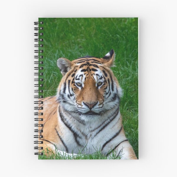 Item preview, A Tiger Face Looking Out designed and sold by DaveBond.