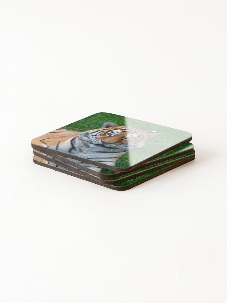 Alternate view of A Tiger Face Looking Out Coasters (Set of 4)