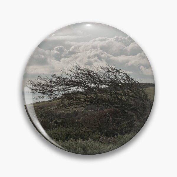 Item preview, Windy Tree designed and sold by Eduardo Vieira.