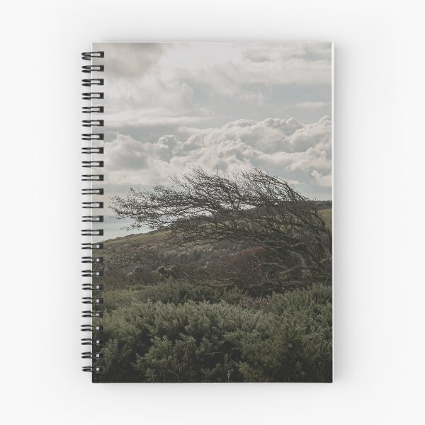 Item preview, Windy Tree designed and sold by Eduardo Vieira.