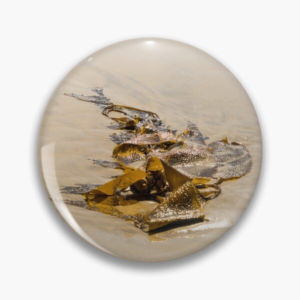 Item preview, Kelp Cameo - Splendiferous Beach Art by Mother Nature designed and sold by Georgia Mizuleva.
