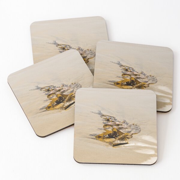 Item preview, Kelp Cameo - Splendiferous Beach Art by Mother Nature designed and sold by Georgia Mizuleva.