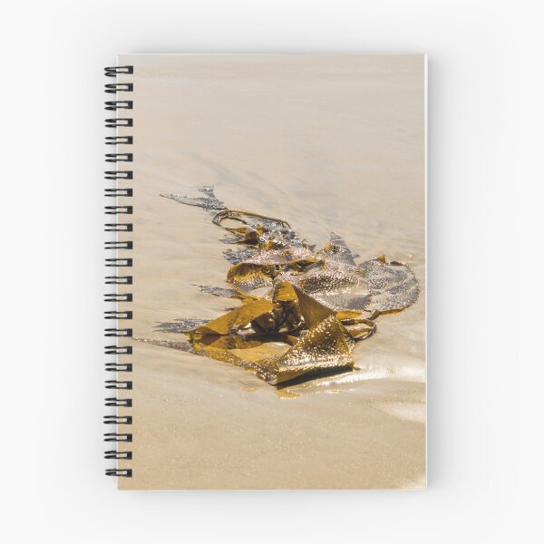 Item preview, Kelp Cameo - Splendiferous Beach Art by Mother Nature designed and sold by Georgia Mizuleva.