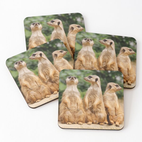 Item preview, Meerkat 074 designed and sold by JAMFoto.
