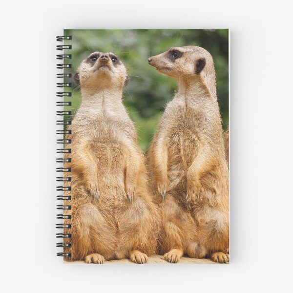 Item preview, Meerkat 074 designed and sold by JAMFoto.