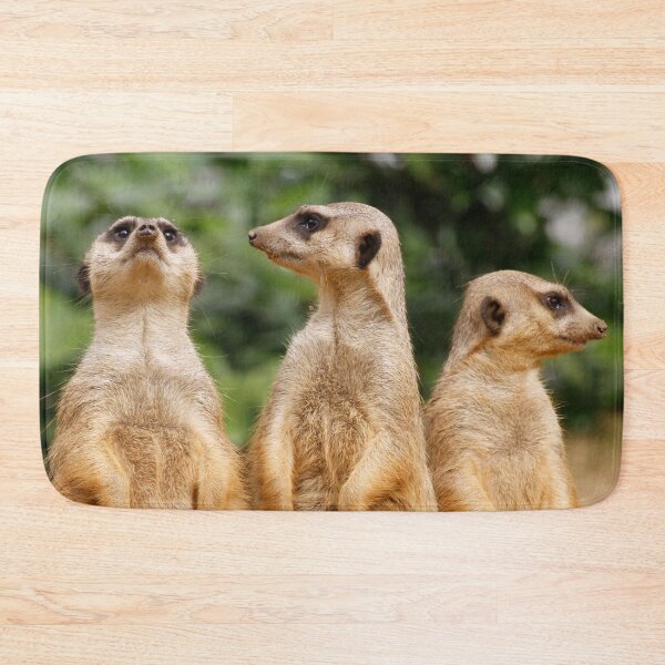 Item preview, Meerkat 074 designed and sold by JAMFoto.