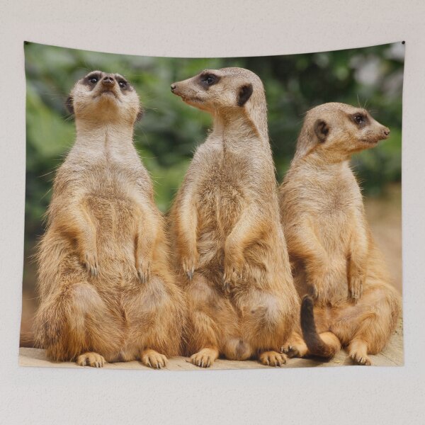 Item preview, Meerkat 074 designed and sold by JAMFoto.