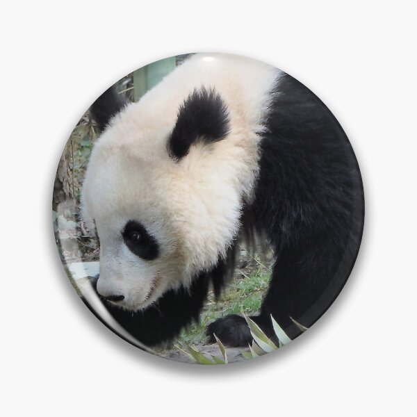 Item preview, VIENNESE GIANT PANDA designed and sold by RachelMacht.