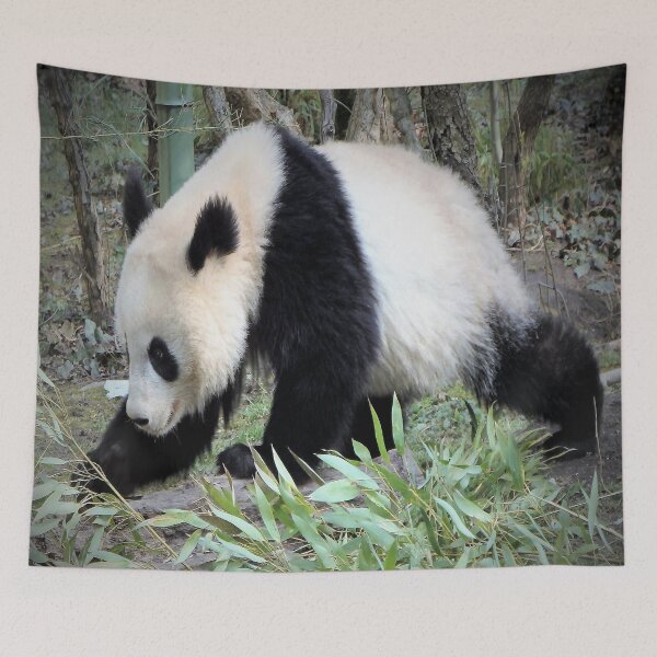 Item preview, VIENNESE GIANT PANDA designed and sold by RachelMacht.