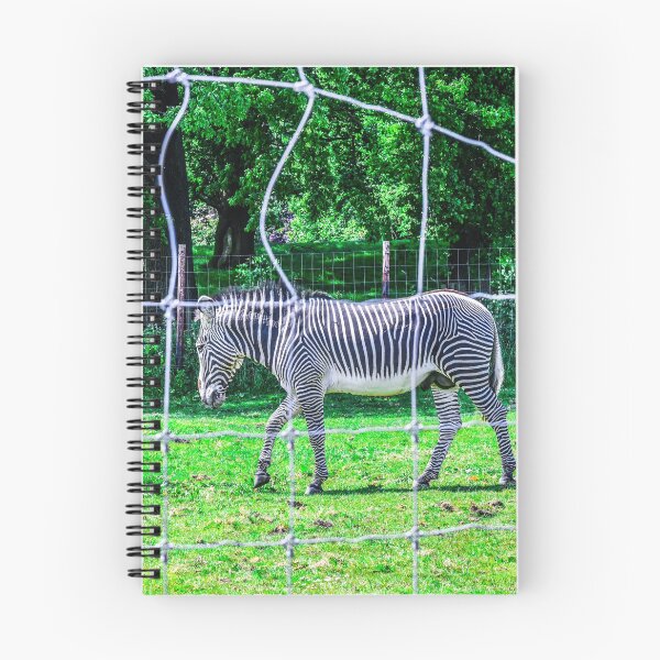 Item preview, Zebra connection designed and sold by SzendeB.
