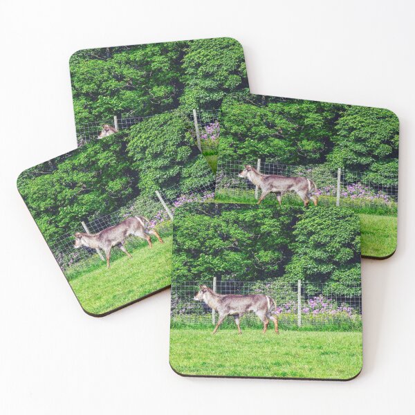 Item preview, Life in the forest designed and sold by SzendeB.