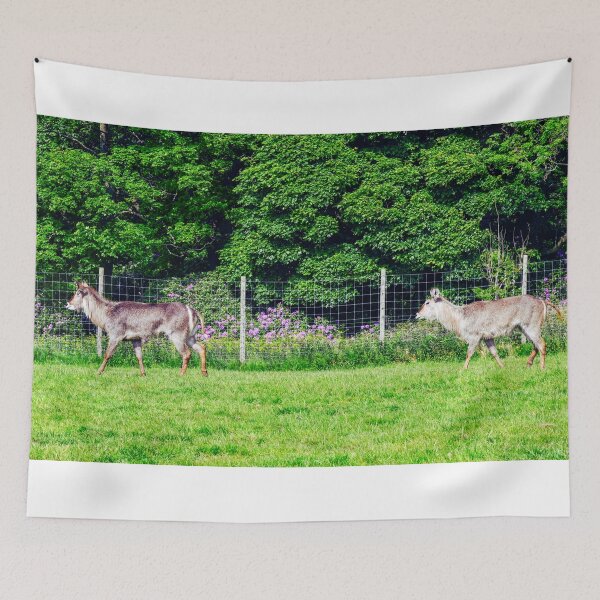 Item preview, Life in the forest designed and sold by SzendeB.