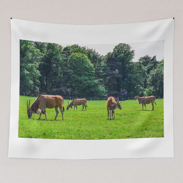 Item preview, Antelope designed and sold by SzendeB.