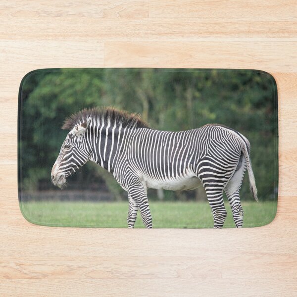 Item preview, Side View of a Zebra designed and sold by DaveBond.