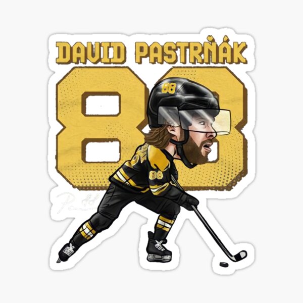 Pastrnak pays homage to Red Sox, Ortiz with Winter Classic equipment