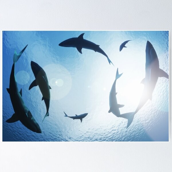 Item preview, Sharks Circling designed and sold by Motivation111.