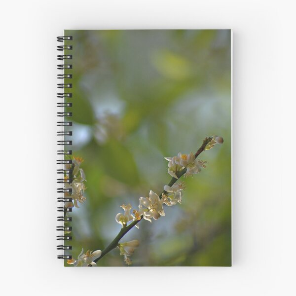 Item preview, Lemon tree blossoms/flowers designed and sold by VeenaNair23.