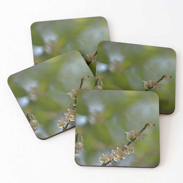 Item preview, Lemon tree blossoms/flowers designed and sold by VeenaNair23.