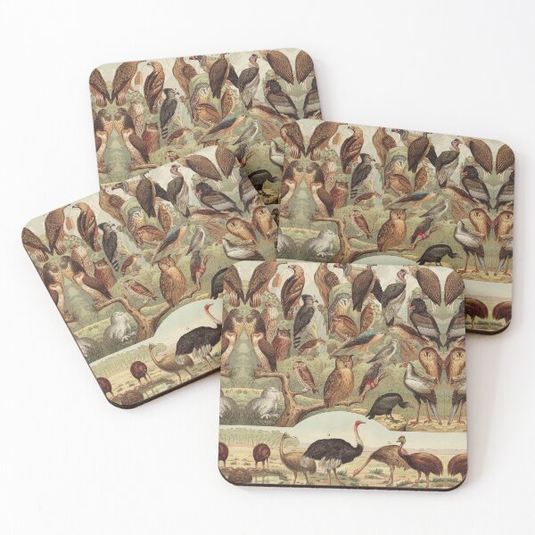 Item preview, Vintage Forest Birds, Owl, eagle, hawk, Ostrich, Emu designed and sold by LeAllureVintage.
