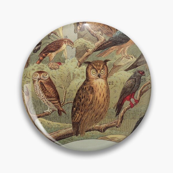 Item preview, Vintage Forest Birds, Owl, eagle, hawk, Ostrich, Emu designed and sold by LeAllureVintage.