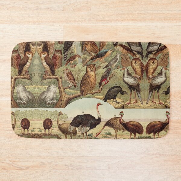 Item preview, Vintage Forest Birds, Owl, eagle, hawk, Ostrich, Emu designed and sold by LeAllureVintage.