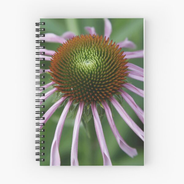 Item preview, echinacea  designed and sold by WeCloneU.