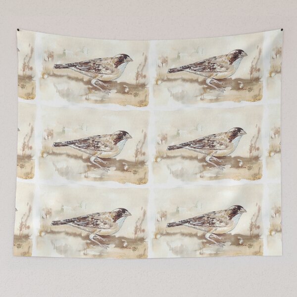 Item preview, White-browed Sparrow Weaver (Koringvoël) designed and sold by Maree Clarkson .