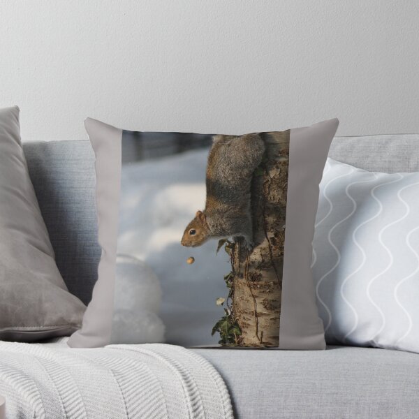 Artikelvorschau, Don't Lose Your Nuts! entworfen und verkauft von JaclynBell.