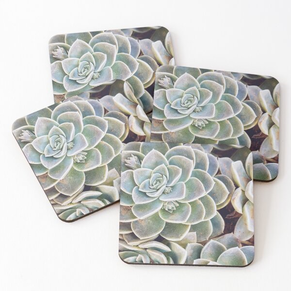 Item preview, Blue Echeveria designed and sold by Elsabe Smith.
