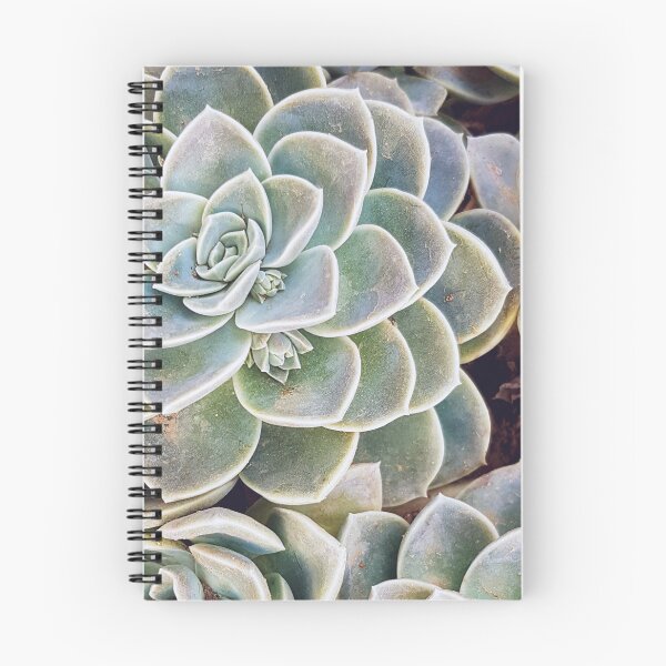 Item preview, Blue Echeveria designed and sold by Elsabe Smith.
