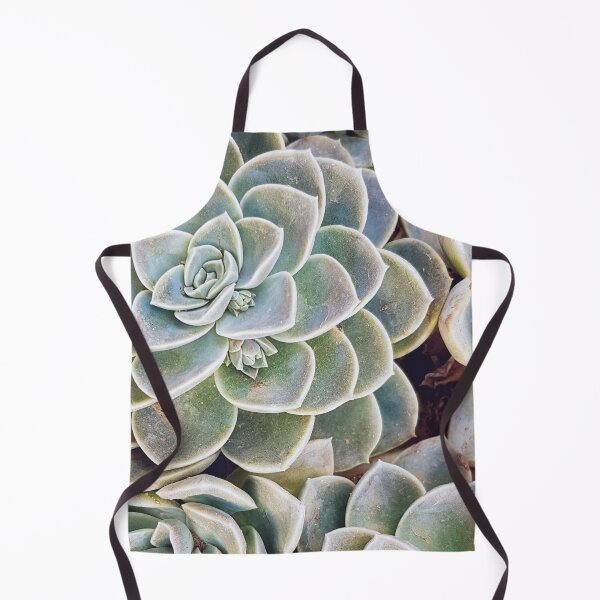 Item preview, Blue Echeveria designed and sold by Elsabe Smith.