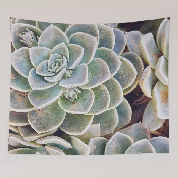 Item preview, Blue Echeveria designed and sold by Elsabe Smith.