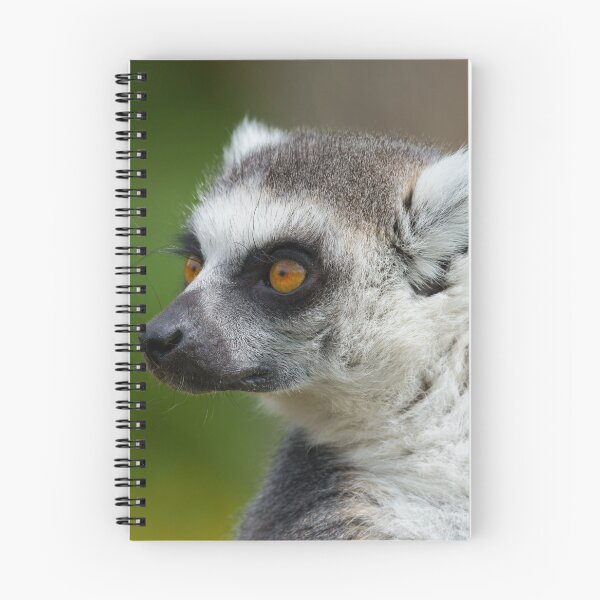 Item preview, Lemur Close-Up designed and sold by rawshutterbug.