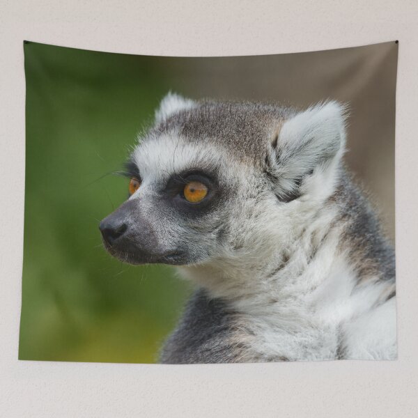 Item preview, Lemur Close-Up designed and sold by rawshutterbug.