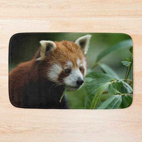 Item preview, Red Panda designed and sold by rawshutterbug.