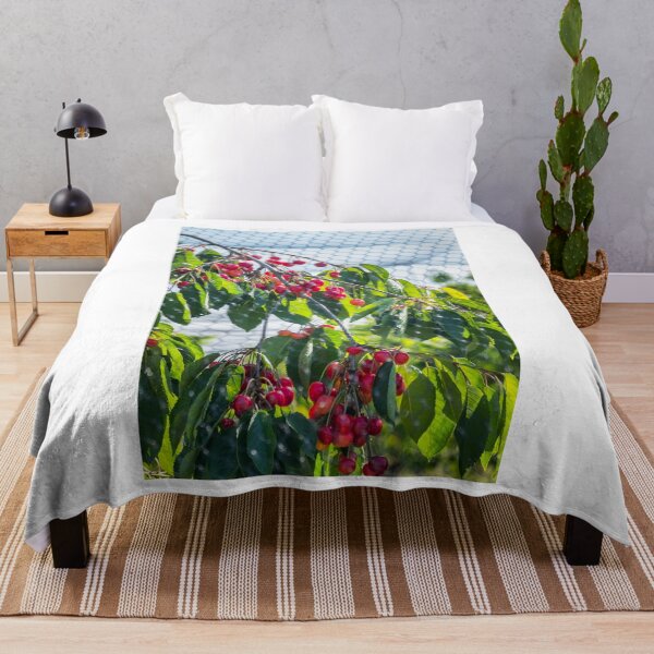 Item preview, Juicy, delicious, bright red cherries designed and sold by Martin Langer.